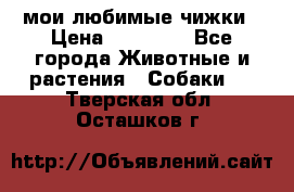 мои любимые чижки › Цена ­ 15 000 - Все города Животные и растения » Собаки   . Тверская обл.,Осташков г.